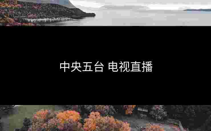 中央五台 电视直播