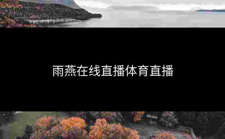 雨燕在线直播体育直播